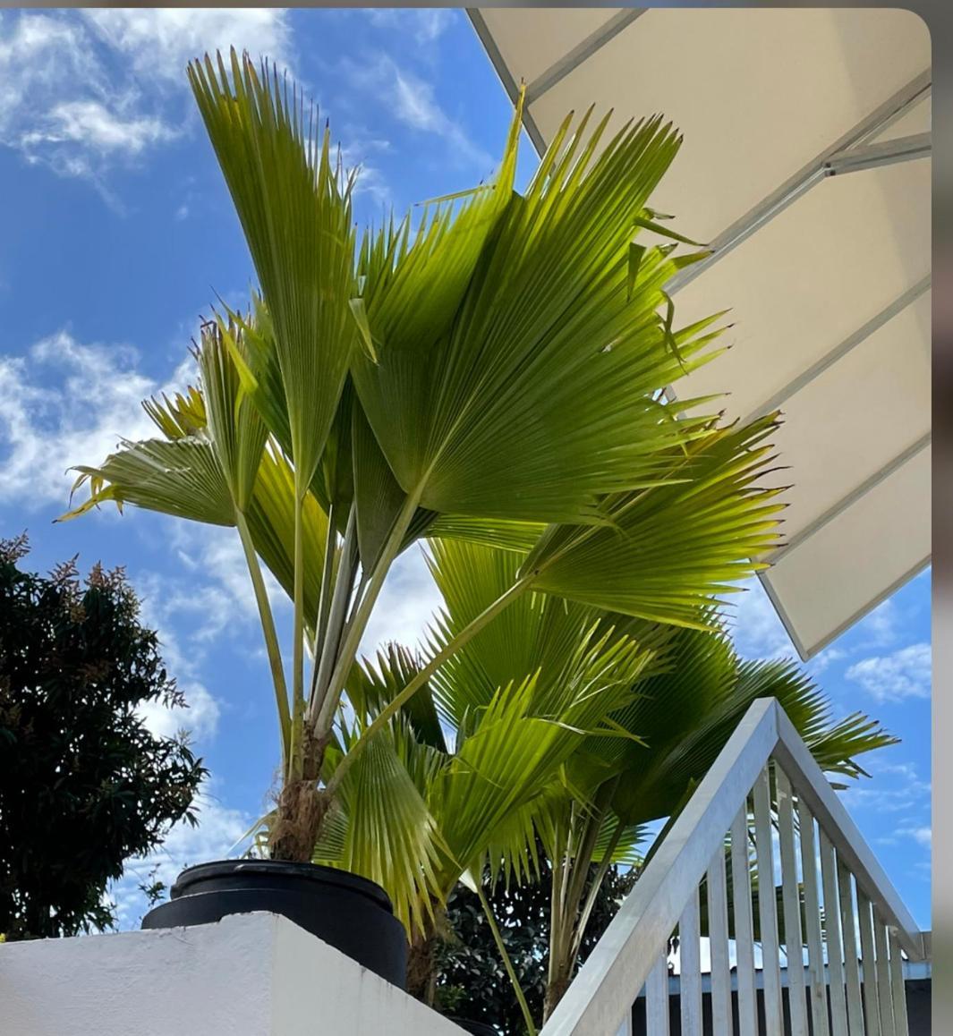 Mar Báltico Apartman San Juan Kültér fotó
